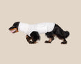 Load image into Gallery viewer, The Blye Snuggler calming dog vest for anxiety - Blye