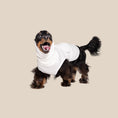 Load image into Gallery viewer, The Blye Snuggler calming dog vest for anxiety - Blye