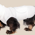 Load image into Gallery viewer, The Blye Snuggler calming dog vest for anxiety - Blye