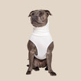 Load image into Gallery viewer, The Blye Snuggler calming dog vest for anxiety - Blye