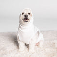 Load image into Gallery viewer, The Blye Snuggler calming dog vest for anxiety - Blye