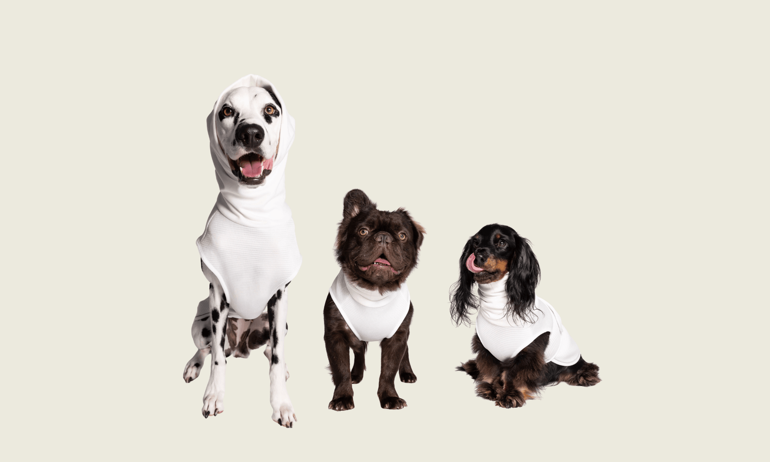 Anxiety Triggers by Breed - Blye
