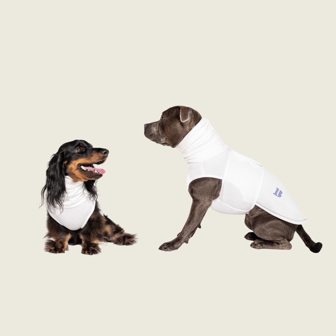 How to Measure for a Perfect Fit - Blye