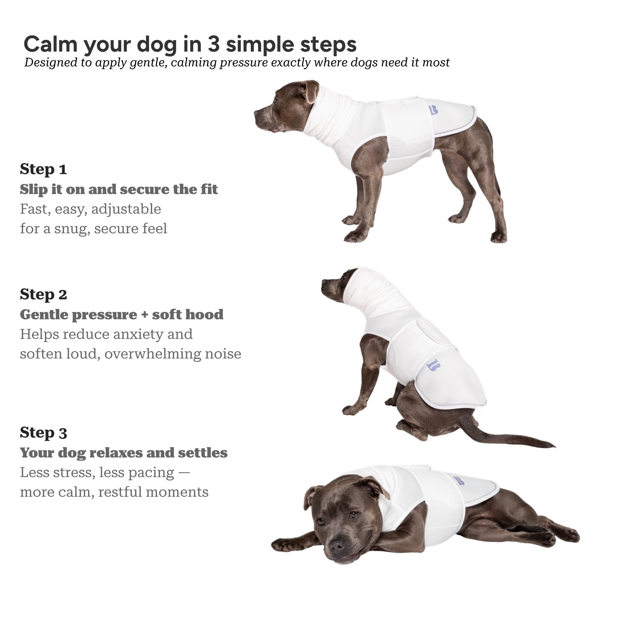 The Blye Snuggler calming dog vest for anxiety - Blye