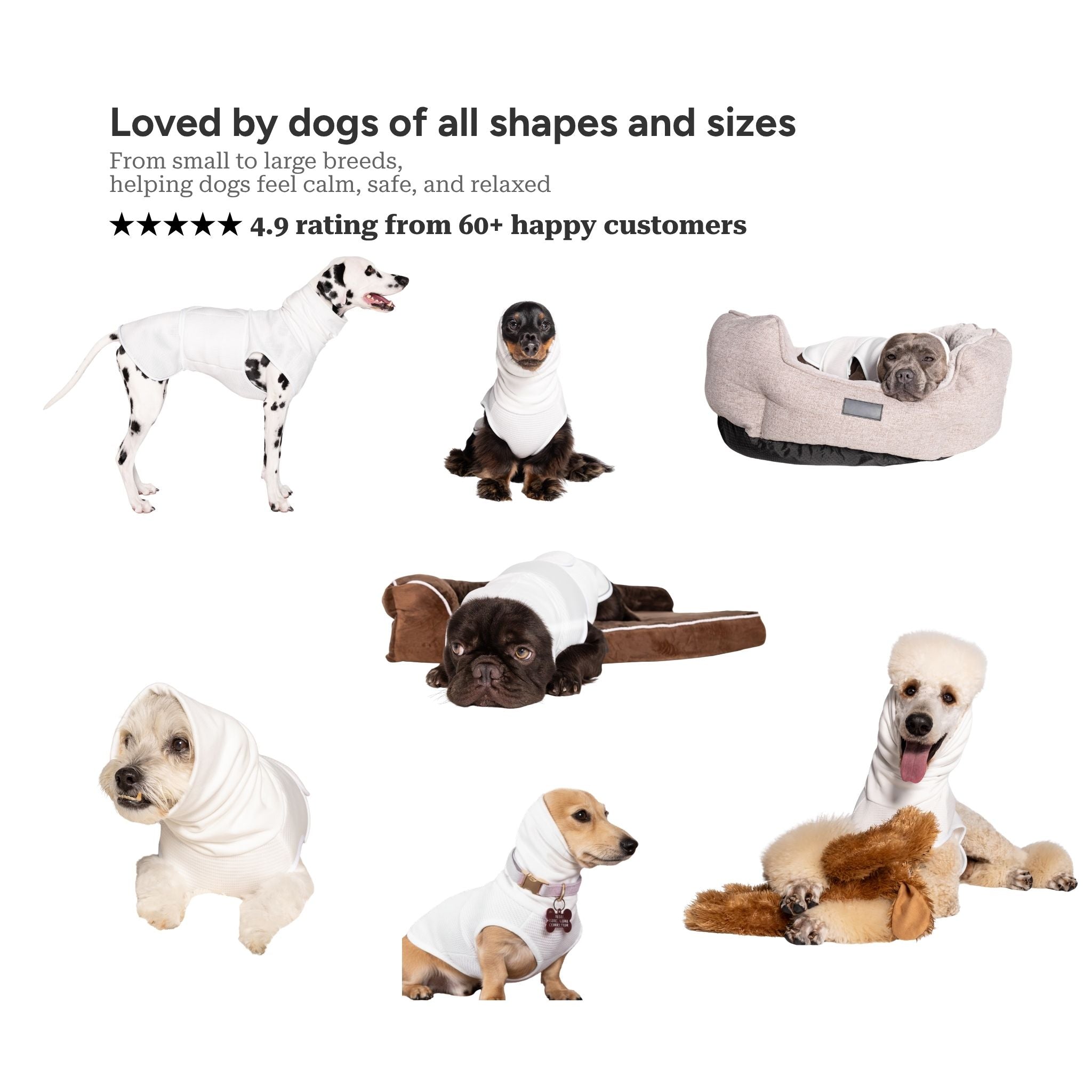 The Blye Snuggler calming dog vest for anxiety - Blye