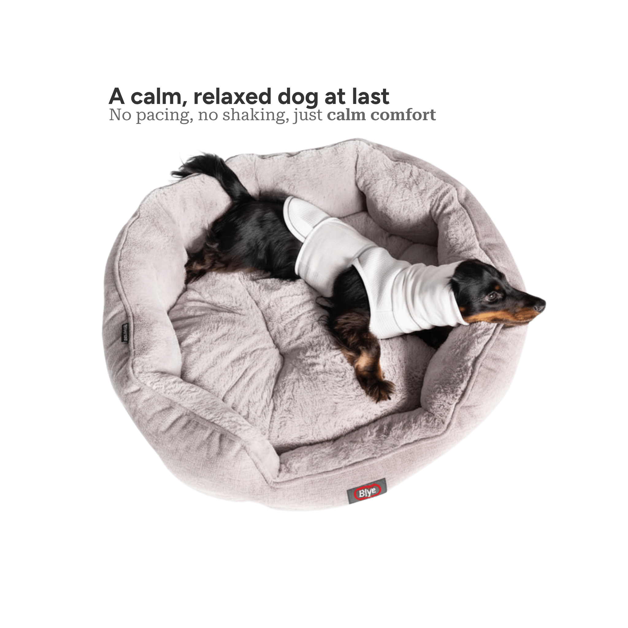 The Blye Snuggler calming dog vest for anxiety - Blye